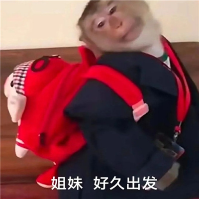 可爱到上头的沙雕表情 宝贝一叫随叫随到