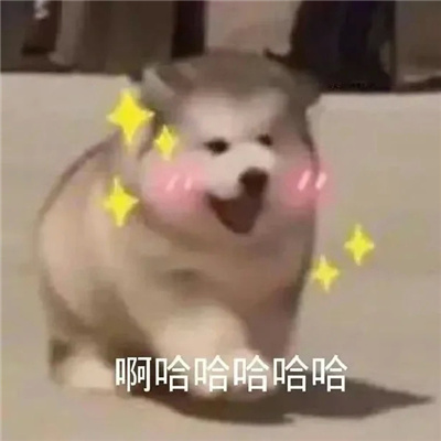 每张都是超快乐表情合集 搞怪还得是表情包