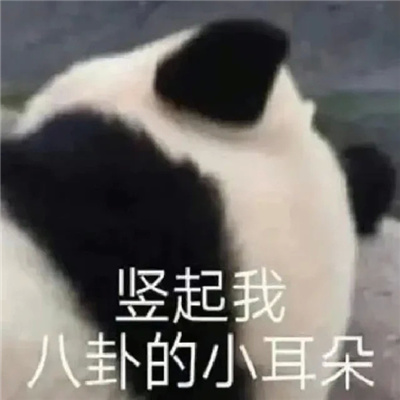 每张都是超快乐表情合集 搞怪还得是表情包