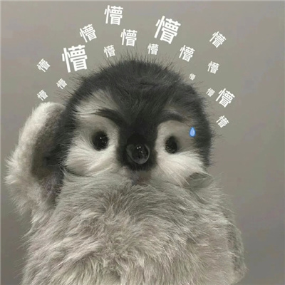 每张都是超快乐表情合集 搞怪还得是表情包