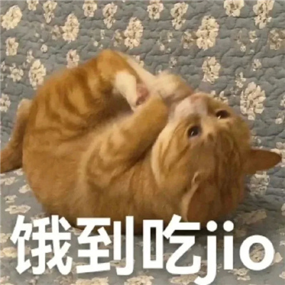 每张都是超快乐表情合集 搞怪还得是表情包