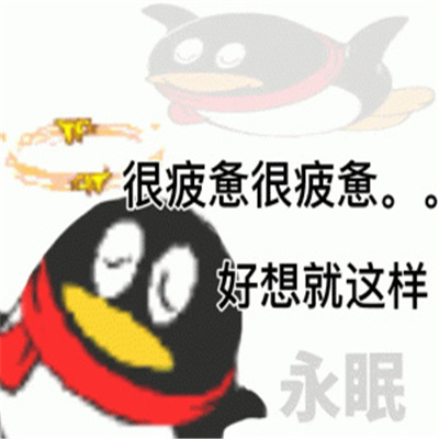 QQ企鹅发疯表情包 只要心态好学校也是巴厘岛