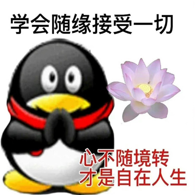 QQ企鹅发疯表情包 只要心态好学校也是巴厘岛