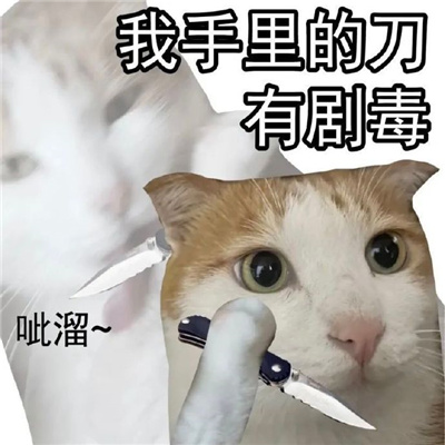 最实用的表情很小众又很可爱 我看你需要修理下脑子