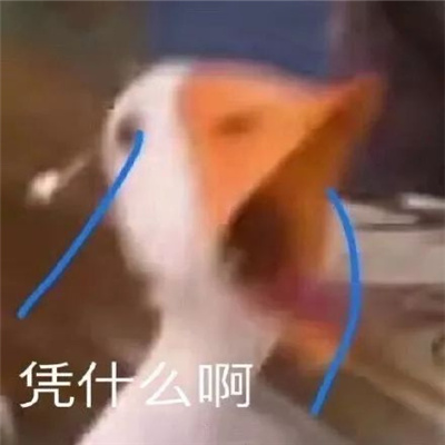 最实用的表情很小众又很可爱 我看你需要修理下脑子