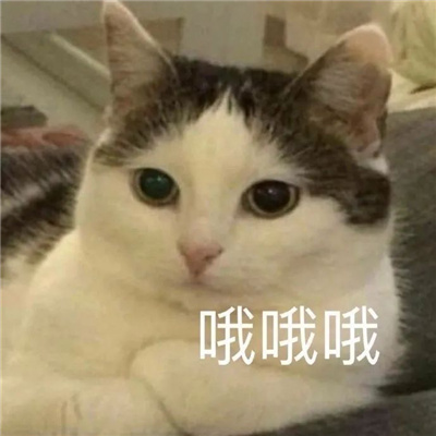 最实用的表情很小众又很可爱 我看你需要修理下脑子