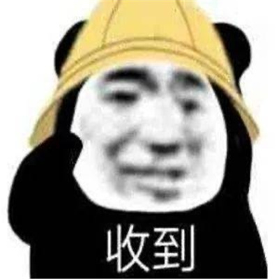 2024最新版熊猫金馆长表情高清 超火爆又很好用的金馆长表情幽默