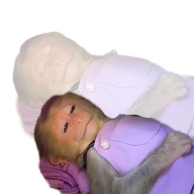 很沙雕的爱睡觉的趣味表情合集 我爱睡觉表情合集