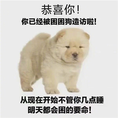 很沙雕的爱睡觉的趣味表情合集 我爱睡觉表情合集