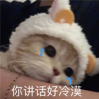 很好玩又很开心系列的表情 叫声老公命都给你