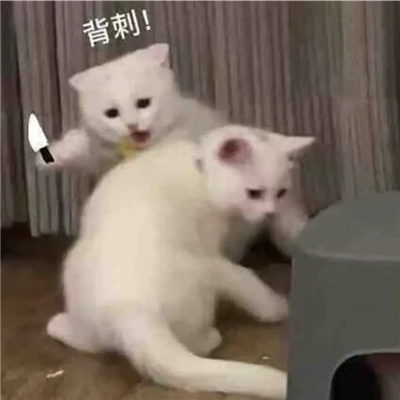 新版聊天表情很嗨超有趣 你是怎么了你是发疯了么