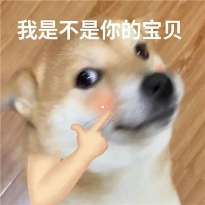 2024爱用的趣味表情超开心 都别吵了快打起来了