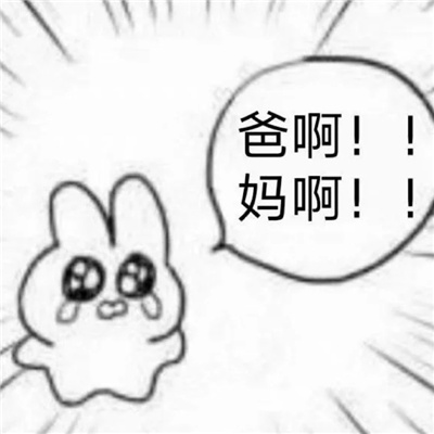 很有梗的特色表情大全 网络热梗好用表情