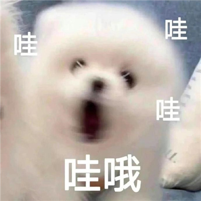 开启聊天话题的高情商表情 能get到笑点的表情大全