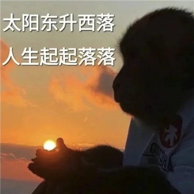 搞怪又有特色的表情聊天必备 太阳东升西落人生起起落落