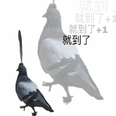 搞怪又有特色的表情聊天必备 太阳东升西落人生起起落落