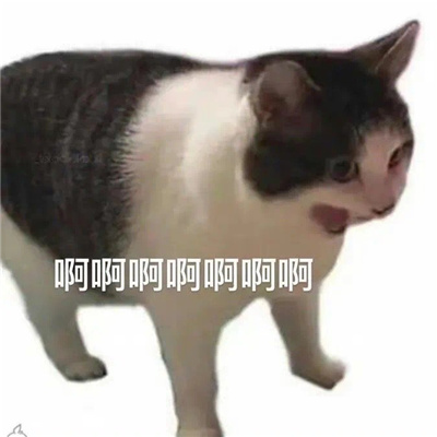 搞怪又有特色的表情聊天必备 太阳东升西落人生起起落落