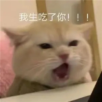 实用又很有特色的表情大全 网上超火的表情吸引人