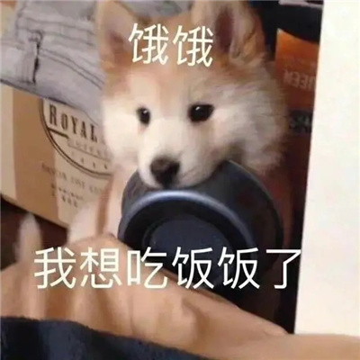 实用又很有特色的表情大全 网上超火的表情吸引人