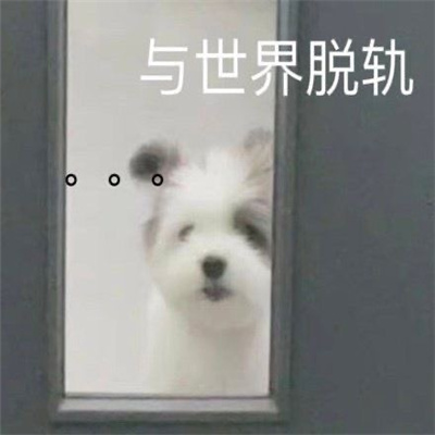 每天都会用到的很多快乐的表情 小猫猫坏心眼多着呢