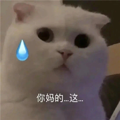 斗图聊天表情无水印套路 热门聊天套路表情合集