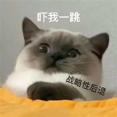 斗图聊天表情无水印套路 热门聊天套路表情合集