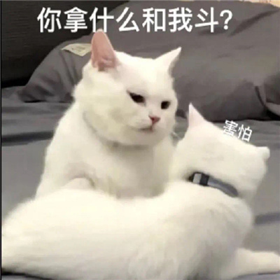 斗图聊天表情无水印套路 热门聊天套路表情合集