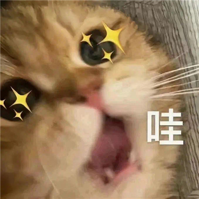 斗图聊天表情无水印套路 热门聊天套路表情合集