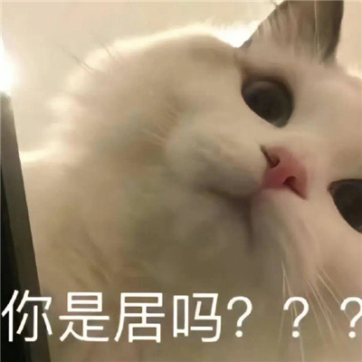 斗图聊天表情无水印套路 热门聊天套路表情合集