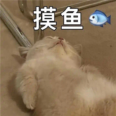 斗图聊天表情无水印套路 热门聊天套路表情合集