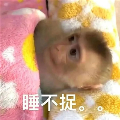 超有创意幽默表情2024 别多想只是普通朋友