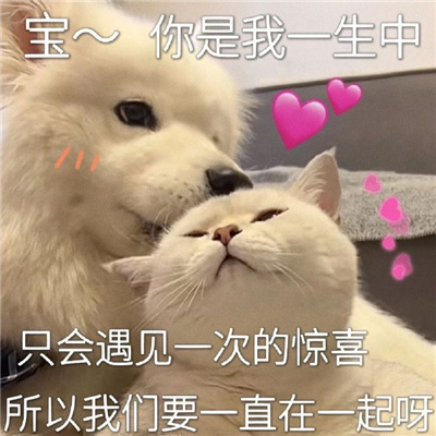 趣味聊天表情最新合集 我就是个普普通通的大美女