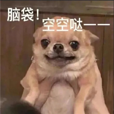 2024狗子微信表情包最近超火 最近很流行的萌宠狗子表情大全