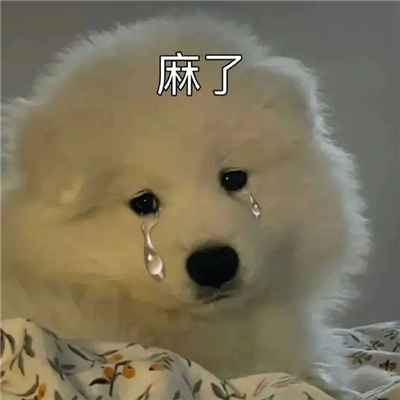 2024狗子微信表情包最近超火 最近很流行的萌宠狗子表情大全