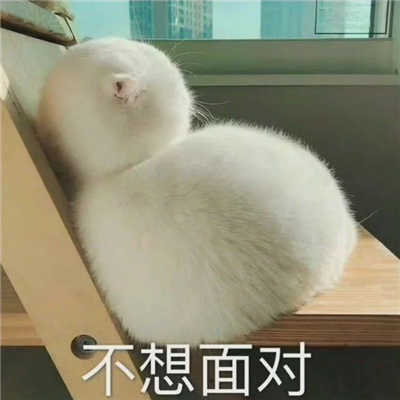 用来聊天会让对方开心的表情 如何套取富婆欢心