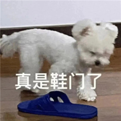 实用的表情很离谱又好笑 我是来摸鱼的不是来吃苦的