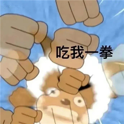 实用的表情很离谱又好笑 我是来摸鱼的不是来吃苦的