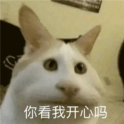 实用的表情很离谱又好笑 我是来摸鱼的不是来吃苦的