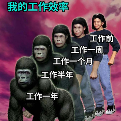 2024打工人进化表情 2024新版打工人必备表情合集