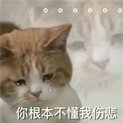 令人大笑的憨憨表情合集 聊天会多超多开心的表情大全