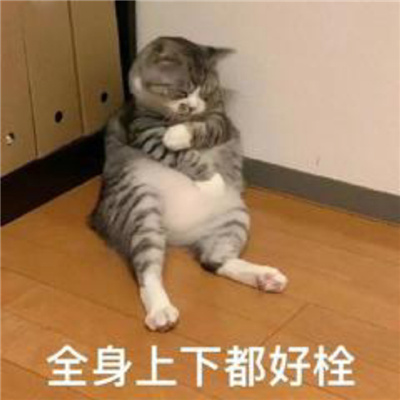 令人大笑的憨憨表情合集 聊天会多超多开心的表情大全