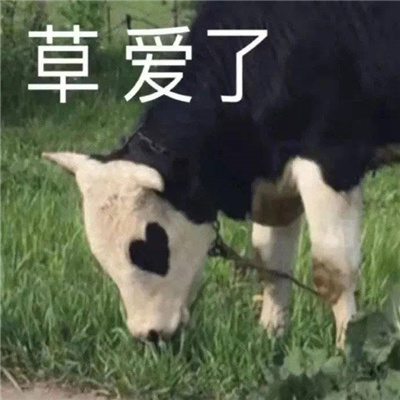 聊天表情搞怪系列很可爱合集 很爱用的宝藏趣味表情