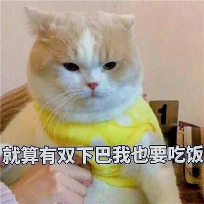 常用的表情聊天必备 无限快乐的好用表情大全