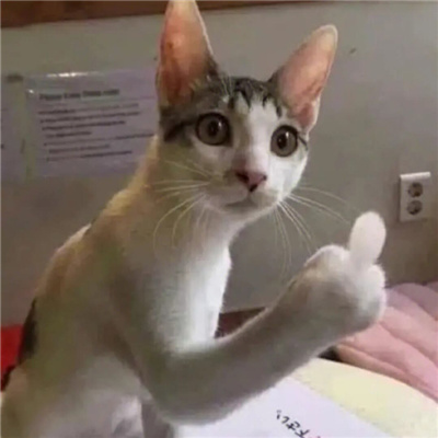 常用的表情聊天必备 无限快乐的好用表情大全