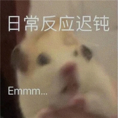 常用的表情聊天必备 无限快乐的好用表情大全