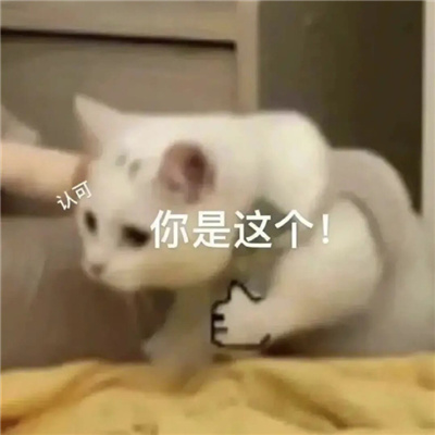 常用的表情聊天必备 无限快乐的好用表情大全