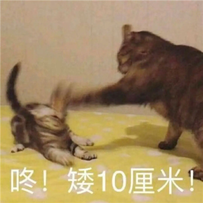 常用的表情聊天必备 无限快乐的好用表情大全