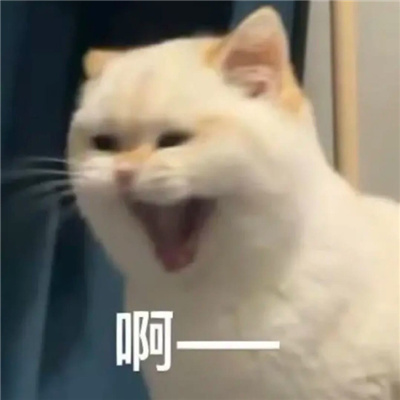 常用的表情聊天必备 无限快乐的好用表情大全