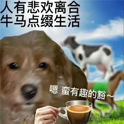 小众实用表情超有趣 很火爆的微信表情2024版