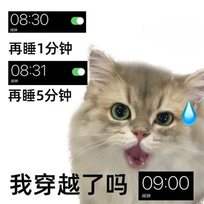 小众实用表情超有趣 很火爆的微信表情2024版